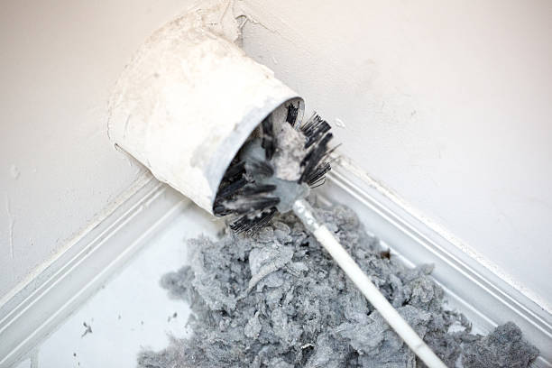 Best Local Air Duct Cleaning Services  in Chillum, MD